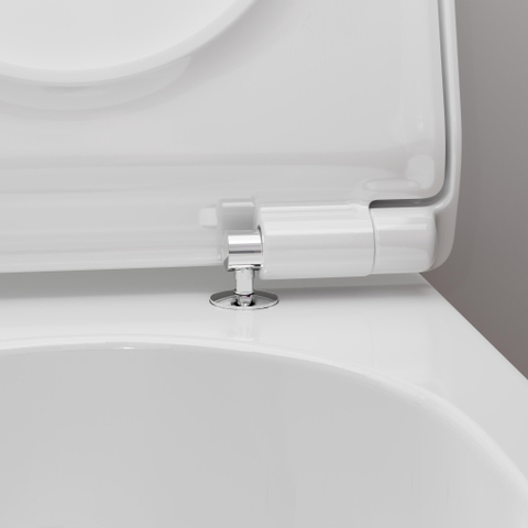 Hansgrohe EluPura S Closetcombinatie - wandmontage - zonder spoelrand - softclose zitting - smartclean - rimless - glans wit SW962889
