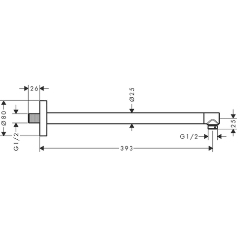 Hansgrohe Douchearm S - 39 cm - hoogglans chroom SW925808