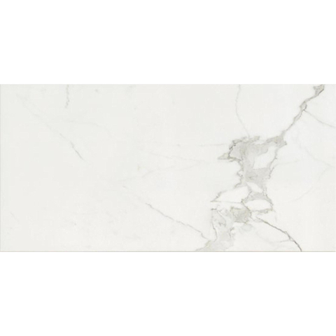 Ceralto Valerio Mini Carrelage de sol - 59.7x119.7cm - 9.0mm - rectifié - Calacatta SW1175155