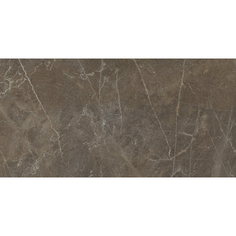 Terravito Legante Carrelage sol et mur - 60x120cm - rectifié - poli Marron SW962763