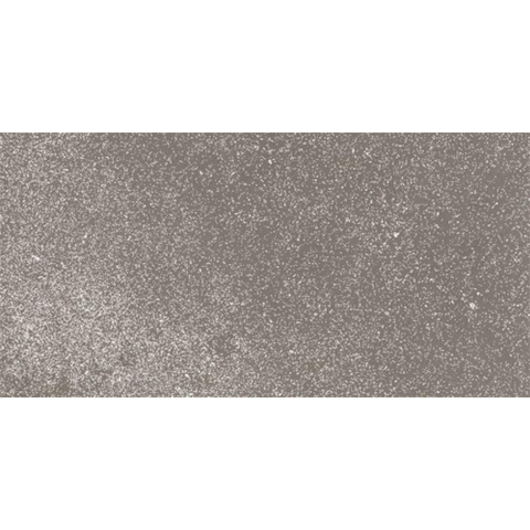 Ceralto Ivarno Core Vloertegel - 30X60 - 10mm - mat - grijs SW1578941