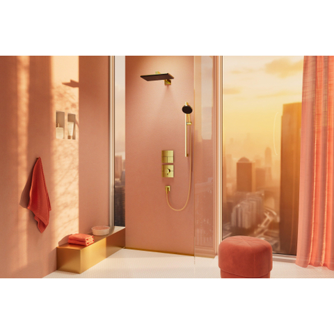 Hansgrohe Raindance alive Handdouche 125 - 3jet - gepolijst goud (goud) SW1388078