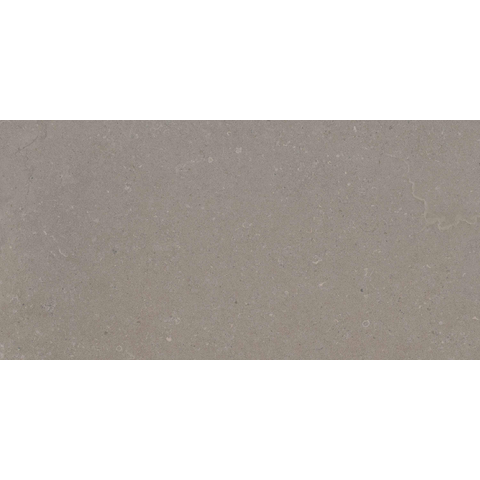 ÉCHANTILLON Terravito Selvico Carrelage mural en céramique - 30x60cm - 8.5mm - Greige SW1579577