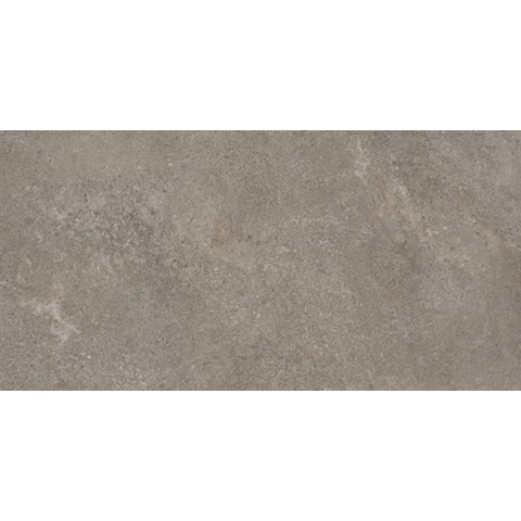 Ceralto Amaro Plank Carreau de sol - 60x120cm - 9.0mm - rectifié - Iron SW1473990