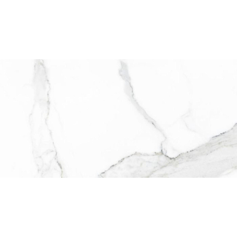 Terravito Alpuro carreau mural et de sol - 30x60cm - 9mm - Rectangle - rectifié - aspect marbre - blanc/noir brillant SW359737