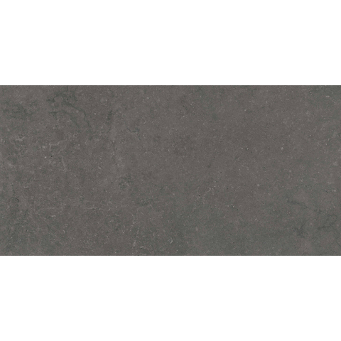 ÉCHANTILLON Terravito Selvico Carrelage parquet céramique mural et de sol - 60x120cm - 9mm - Anthracite SW1579565