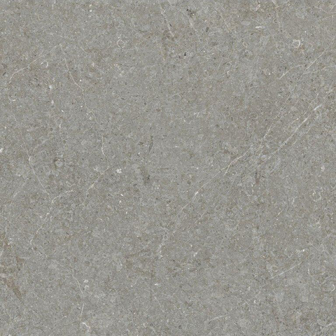 ÉCHANTILLON Terravito Elvano Carrelage parquet céramique mural et de sol - 60x60cm - 9mm - Greige SW1579535