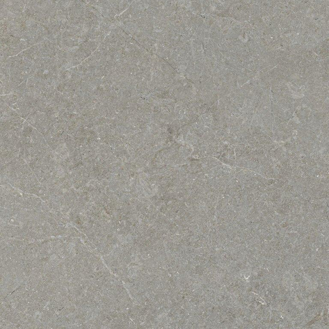 ÉCHANTILLON Terravito Elvano Carrelage parquet céramique mural et de sol - 90x90cm - rectifié - Greige SW1579540