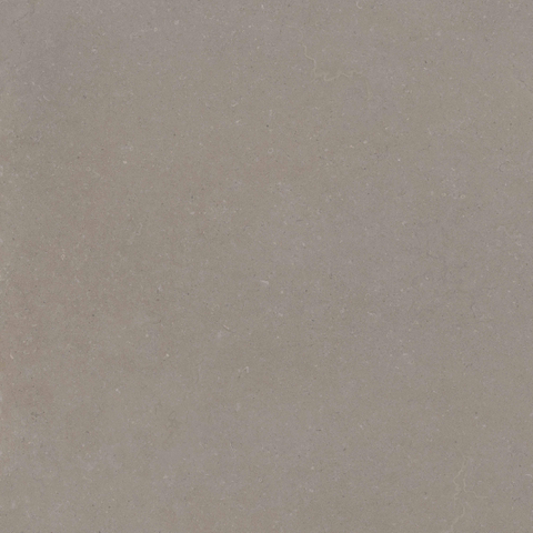 ÉCHANTILLON Terravito Selvico Carrelage aspect parquet céramique mur et sol - 90x90cm - 9mm - Greige SW1579567