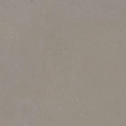 ÉCHANTILLON Terravito Selvico Carrelage aspect parquet céramique mur et sol - 90x90cm - 9mm - Greige SW1579567