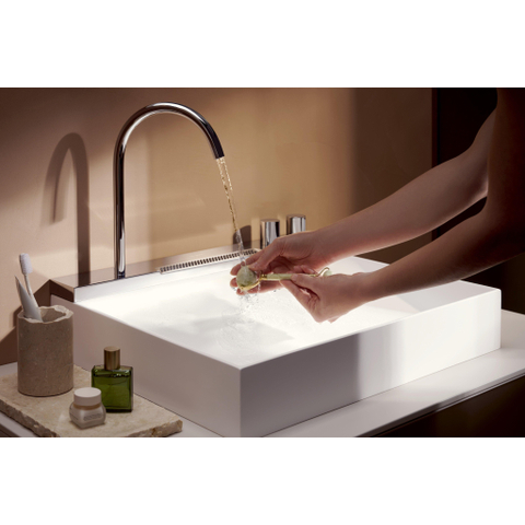 Hansgrohe Avalegra Wastafel / Fontein SW1387807