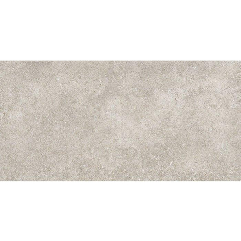 ÉCHANTILLON Terravito Orvico Grey carreau mural - 30x60cm - 10mm - rectifié - aspect pierre naturelle - gris mat SW736505