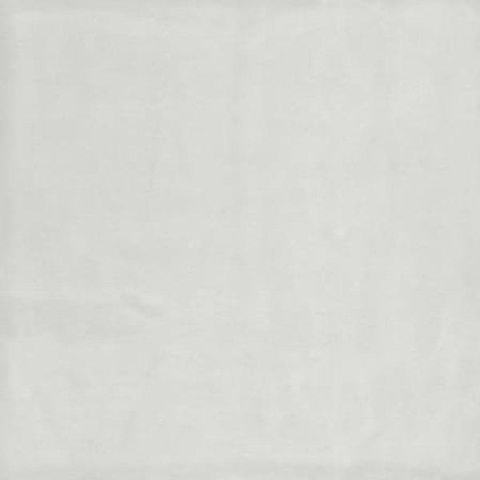 ÉCHANTILLON Ceralto Nordico Line Carreau mural 13x13cm 8.5mm pâte blanche Blanco SW914453
