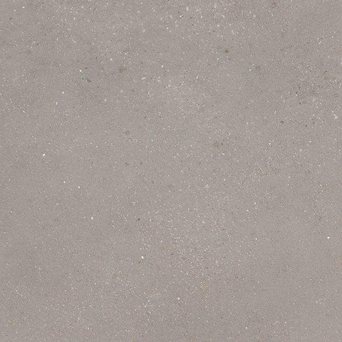 Ceralto Ivarno Core Vloertegel - 60X60 - 10mm - mat - zilver SW1578842
