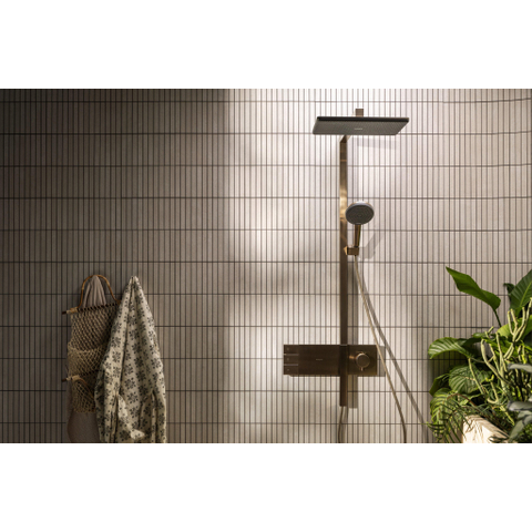 Hansgrohe Raindance alive Showerpipe - 210/340 2jet - ecosmart - thermostatische - thermostaat - geborsteld brons (brons) SW1387853