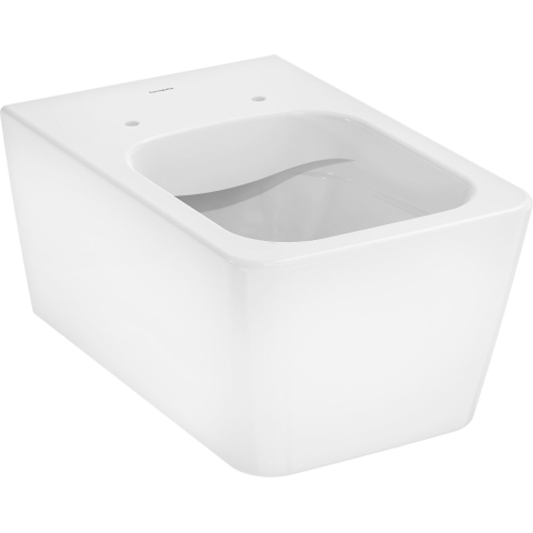 HansGrohe EluPura Q WC suspendu 540 sans rebord AquaFall Flush, SmartClean SW994909