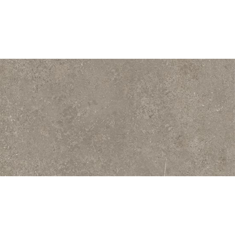 Ceralto Olivaro Sete Carreau de sol - 30X60 - 10mm - mat - argent SW1578739