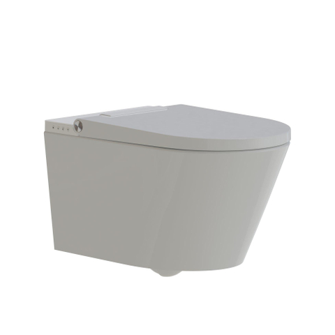 QeramiQ Luma Ensemble WC-douche - réservoir encastré Geberit UP320 - avec châssis Burda - sèche-cheveux - douchette féminine - plaque de commande gris clair - boutons rectangulaires - blanc brillant SW1471998