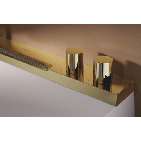 Hansgrohe Avalegra Wastafel / Fontein SW1388085