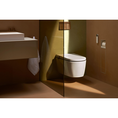 Hansgrohe iFrame Element E plaque de commande pour - double chasse - bronze brossé SW1388329