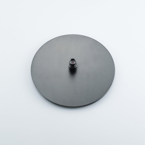 Fortifura Calvi Pomme de douche - 30cm - rond - 6mm - Gunmetal brossé PVD SW1139123