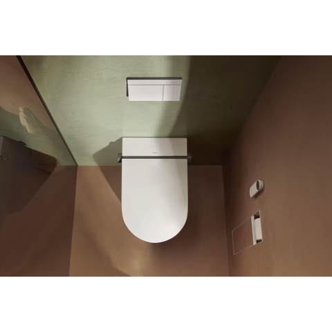 Hansgrohe iFrame Element E plaque de commande pour - double chasse - bronze brossé SW1388329