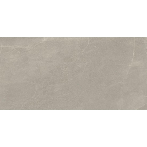 Ceralto Alpina Slate Vloertegel - 60X120 - 6.5mm - mat - grijs SW1578740