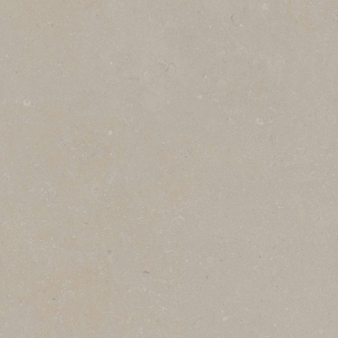 ÉCHANTILLON Terravito Selvico Carrelage parquet céramique murale et de sol - 60x60cm - 9mm - Bone SW1579556
