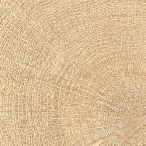 Vtwonen Tegels Woodcirkle Carrelage de sol - 10x10cm - 9.5mm - Chêne SW1473889