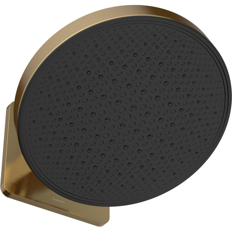 Hotbath Mate Hoofddouche - 30cm - opbouw - rond - rond - PVD - geborsteld messing (goud) SW1245515