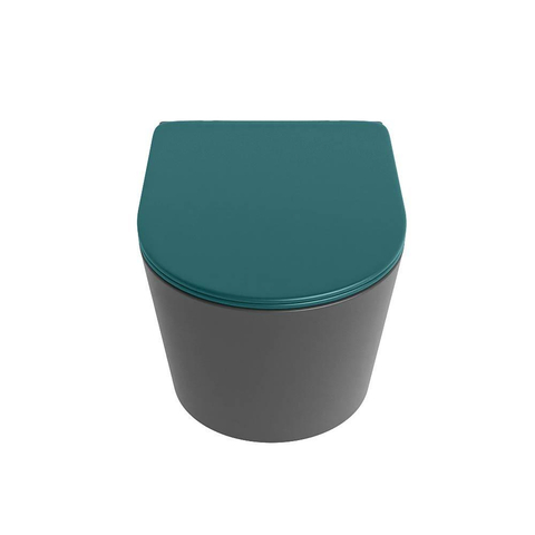 Mondiaz LAVIE WC suspendu – sans bride – 36 x 53 cm – avec abattant softclose – Dark grey (gris), abattant Smag (vert) SW1208712