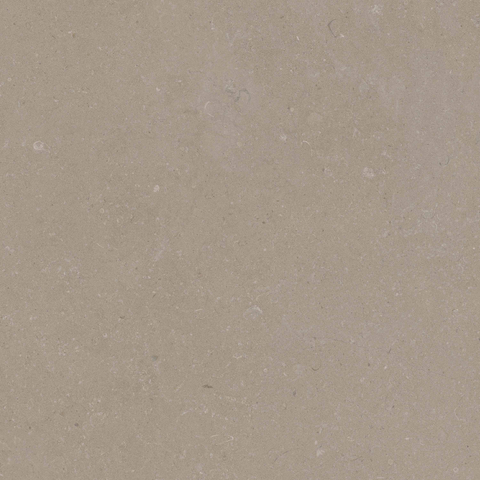 ÉCHANTILLON Terravito Selvico Carrelage parquet céramique murale et de sol - 60x60cm - 9mm - Sand SW1579559
