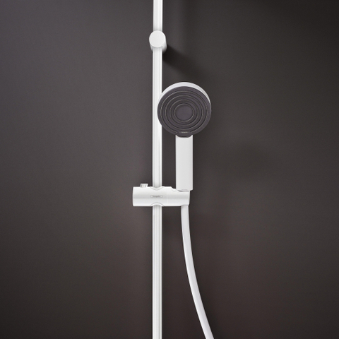 Hansgrohe Pulsify S - handdouche 105 - 1jet - ecosmart+ - mat wit SW651134