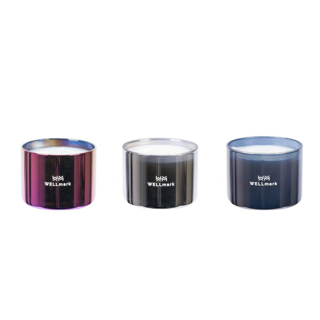 Wellmark Brave Collection Giftbox - 3x geurkaars klein - metallic purple silver grey 8720938454257