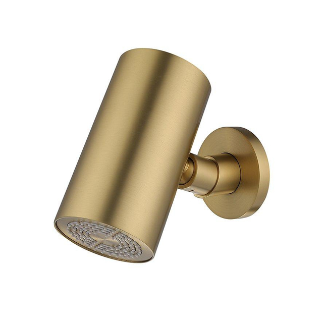 Wiesbaden UniMatch Beam hoofddouche rond 1 stand met muurbevestiging geborsteld messing PVD 29.7823