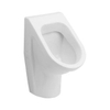 Villeroy en Boch Omnia Architectura urinoir met verdekte inlaat met bevestiging ceramic+ wit 0100999 Villeroy en Boch Omnia Architectura urinoir met verdekte inlaat met bevestiging ceramic+ wit 0100999