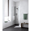 Kermi Liga deur links 80x200 cm. matzilver - helder 1011176 Kermi Liga deur links 80x200 cm. matzilver - helder 1011176