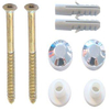 De Beer set potschroeven 6x70mm Thorx 25 wit 3430023