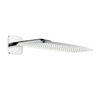 Hansgrohe Raindance hoofddouche E420 1 jet inclusief douche arm 38,5cm chroom 0452043 Hansgrohe Raindance hoofddouche E420 1 jet inclusief douche arm 38,5cm chroom 0452043