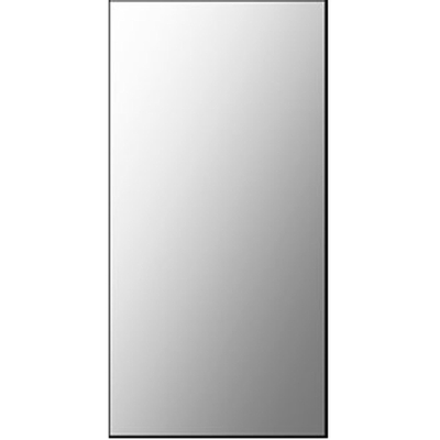 Besmettelijke ziekte Toezicht houden Schep Plieger Basic spiegel sanitair 60x30cm - 4350971 - Sanitairwinkel.nl
