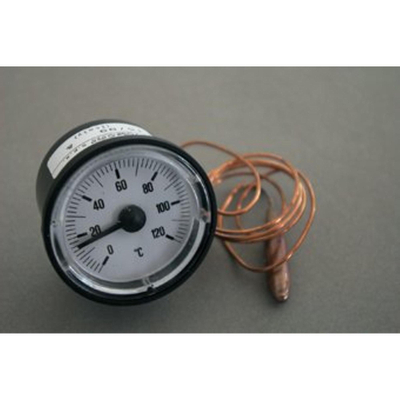 Nefit/Bosch Turbo thermometer