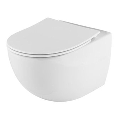 Plieger Zano closetzitting Slim met deksel met softclose en lift-off voor wandcloset Zano en Zano Compact wit SW108183