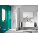 Sealskin I AM Portes battantes 100x200cm pour une niche Acier inoxydable 8mm verre transparent avec anticalcaire SW88962