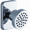 Dornbracht Lulu Douchekop met rozet met antikalkbehandeling platina mat SW113038 Dornbracht Lulu Douchekop met rozet met antikalkbehandeling platina mat SW113038