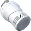 Comap Sar tête thermostatique avec sonde intégrée M30 7481048