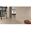 Ceralto Sylvaro Tone Carreau de sol - 60x60cm - 9.0mm - rectifié - Earth SW917621