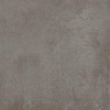 Ceralto Minuta R11 Carrelage de sol - 60x60cm - 9.5mm - rectifié - anthracite SW93952