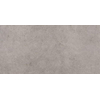 Ceralto Acerno Plank Vloertegel - 60x120cm - 9.5mm - gerectificeerd - Grey SW856363