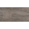Floorgres Rawtech Vloer- en wandtegel 30x60cm 10mm gerectificeerd R10 porcellanato Mud SW93932