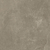 SAMPLE Ceralto Cemento Alto Concrete Vloertegel 600X600 Taupe 10mm Mat Ret.R10 SW1170913